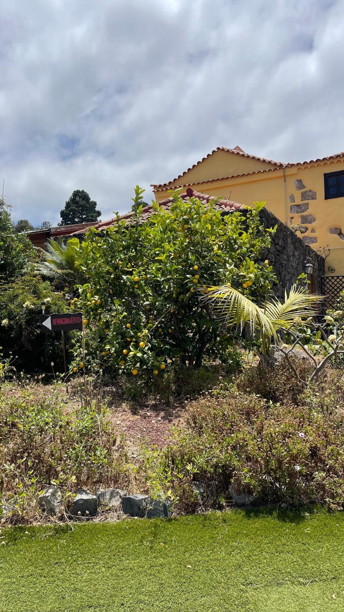 Gasthaus Casonas De Marengo Icod De Los Vinos Exterior foto